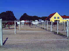 Paddocks